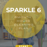 Professional Cleaning Service Poster (1)