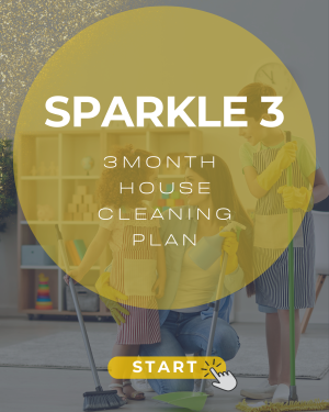 SPARKLE 3 (3-Month Plan)